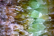 Kimberly Gonzales - Calcite Macro