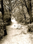 Kimberly Gonzales - Path