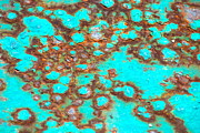 Kimberly Gonzales - Turquoise Rust3